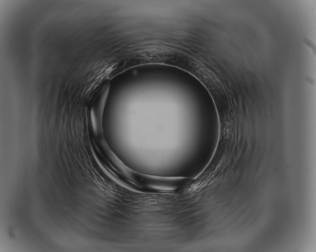 X0000091901108200709051357