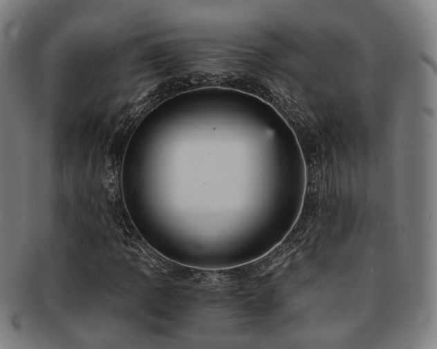 X0000091901109200709051357