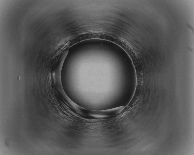 X0000091901110200709051357