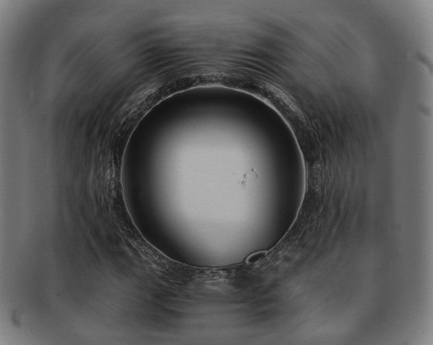 X0000091901111200709051357