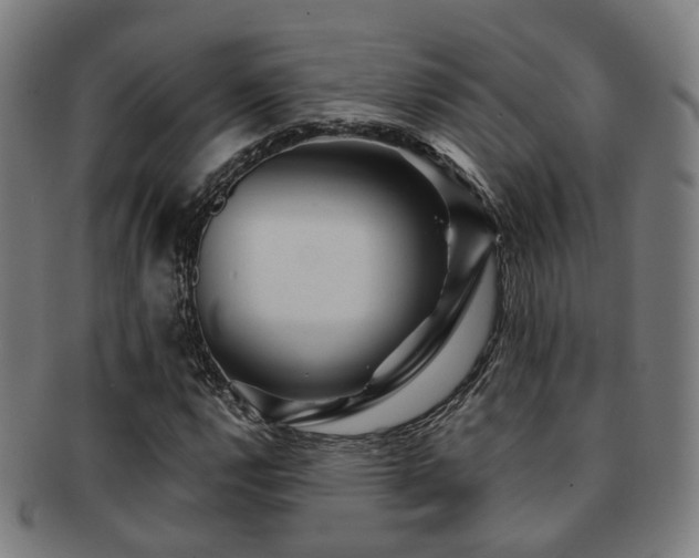 X0000091901112200709051357