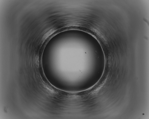 X0000091901113200709051357