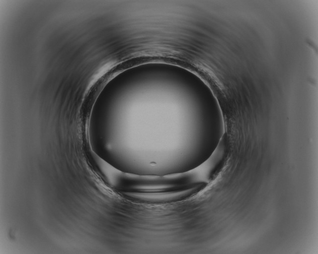X0000091901114200709051357