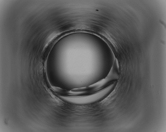 X0000091901115200709051357
