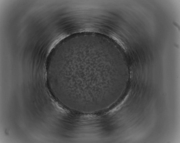X0000091901117200709051357