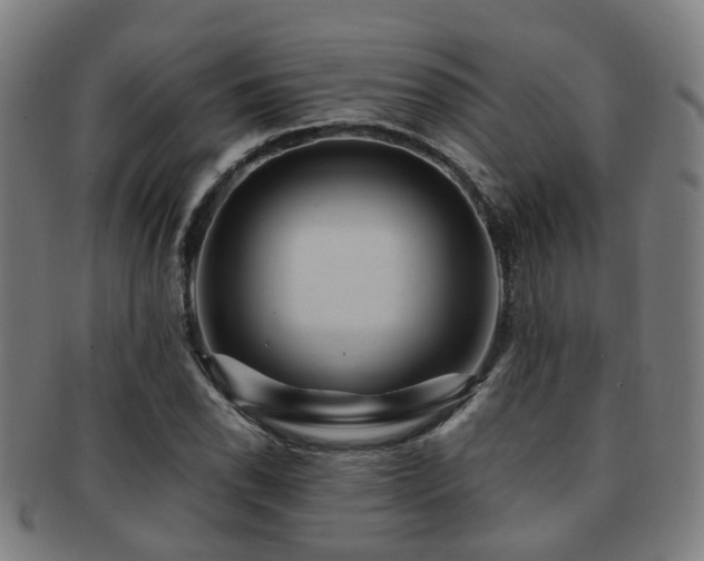 X0000091901118200709051357
