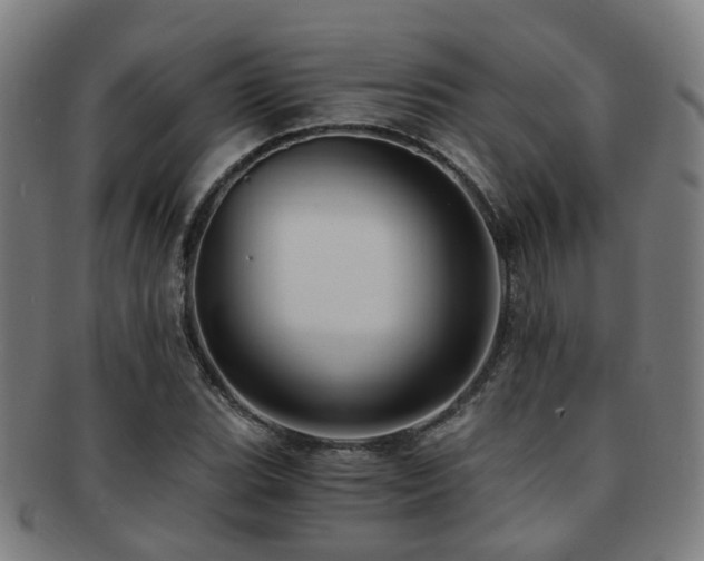 X0000091901119200709051357