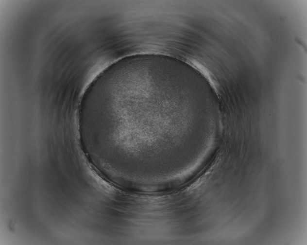 X0000091901120200709051357