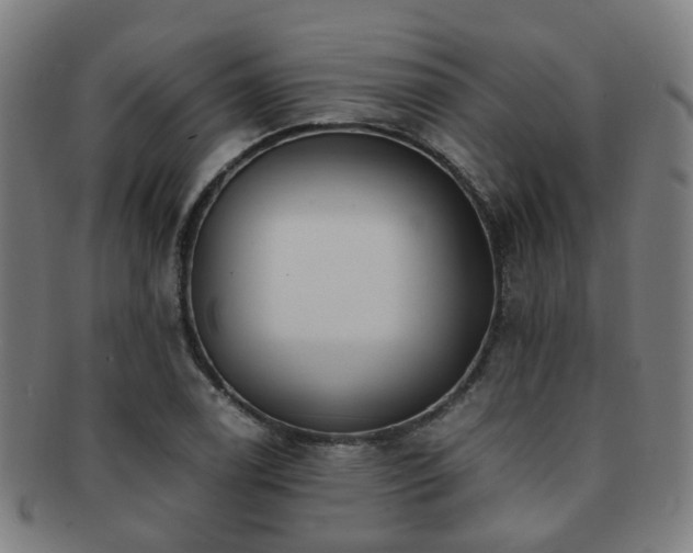 X0000091901122200709051357
