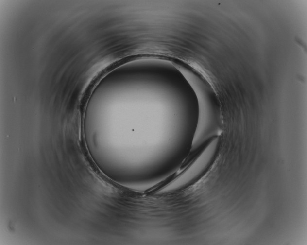 X0000091901123200709051357