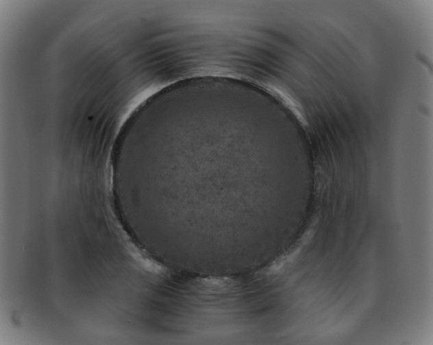 X0000091901125200709051357