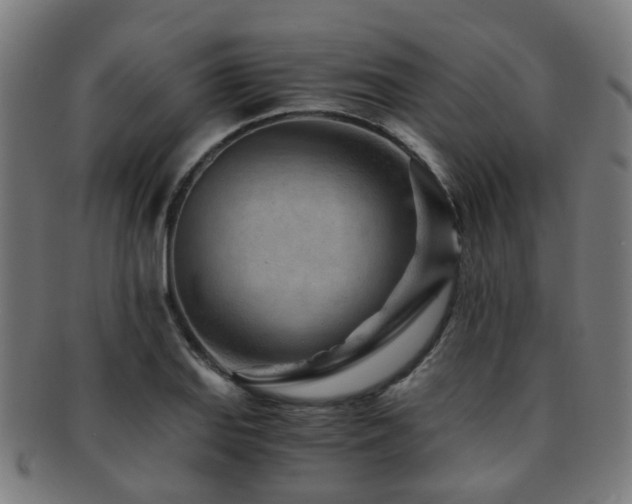 X0000091901127200709051358