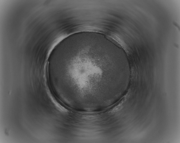 X0000091901128200709051358