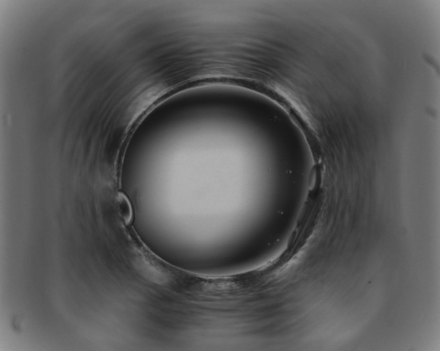 X0000091901129200709051358