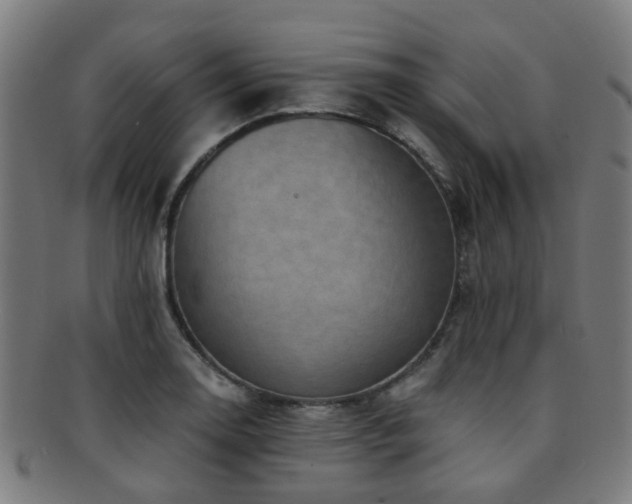X0000091901130200709051358