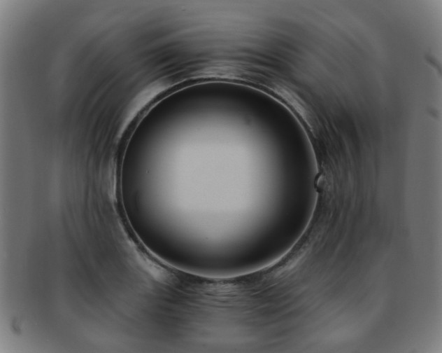 X0000091901131200709051358