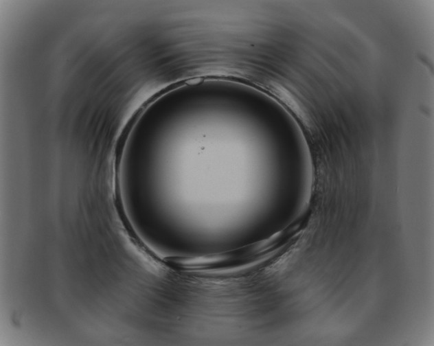X0000091901132200709051358