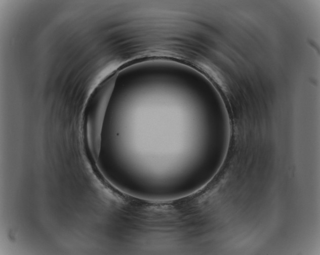 X0000091901133200709051358