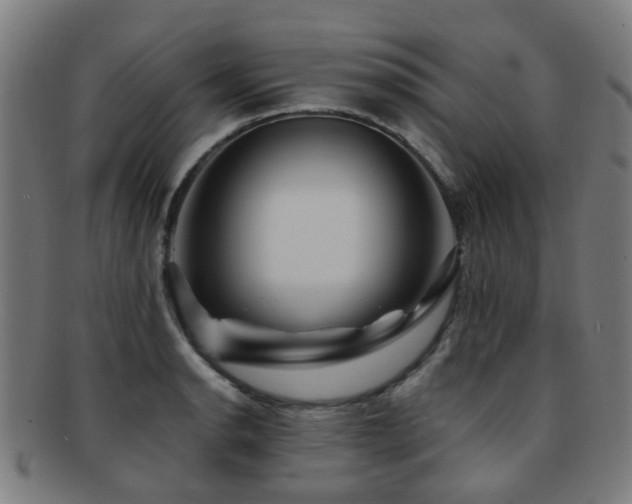 X0000091901134200709051358