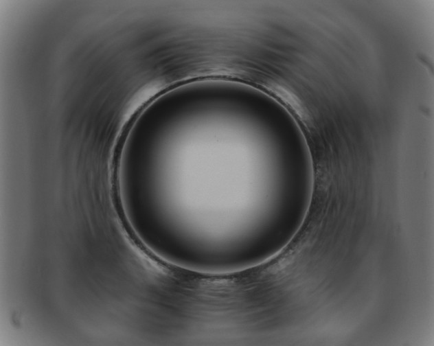X0000091901135200709051358