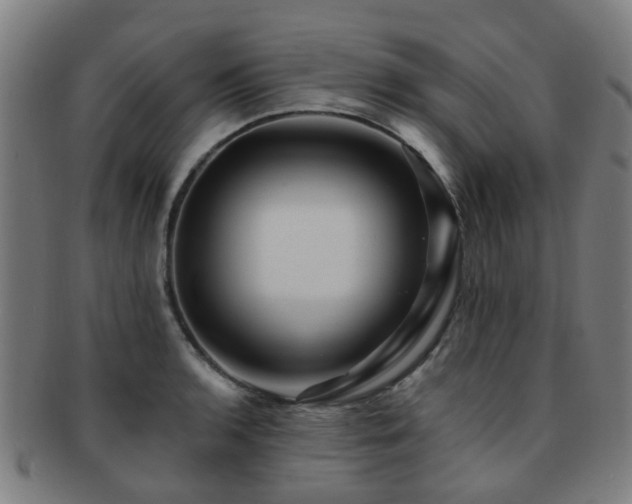X0000091901136200709051358