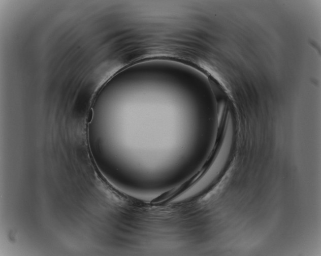 X0000091901137200709051358