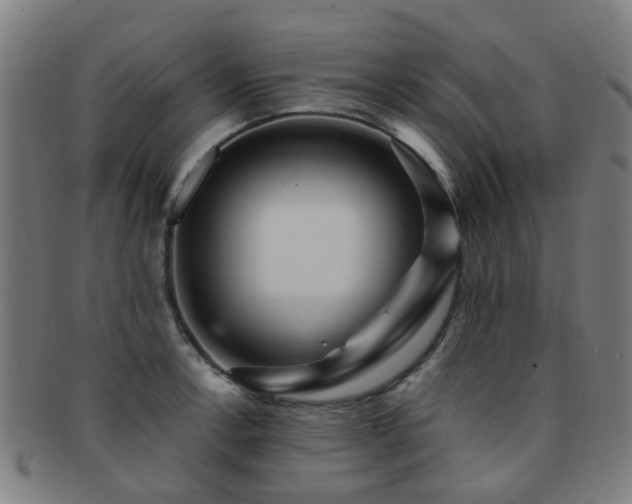X0000091901138200709051358