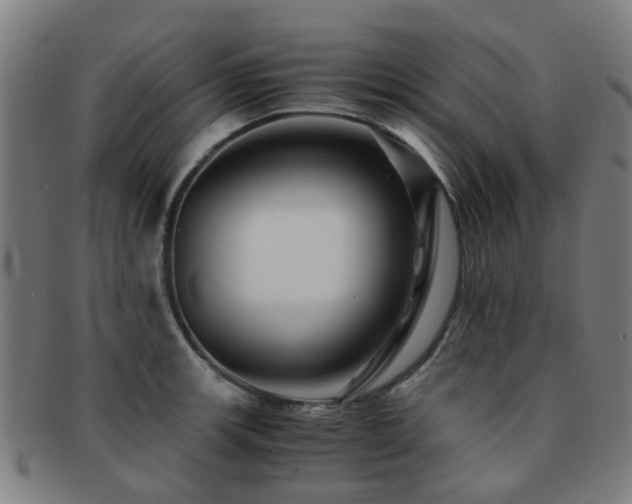 X0000091901139200709051358