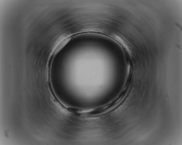 X0000091901140200709051358