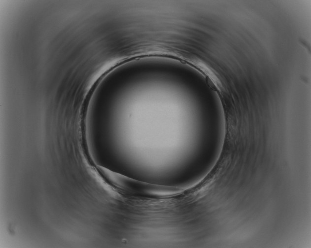 X0000091901142200709051358