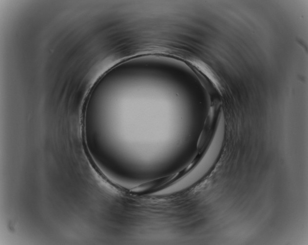 X0000091901143200709051358