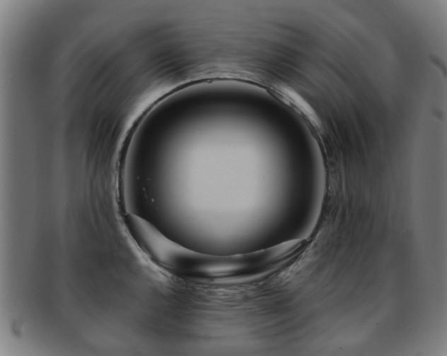 X0000091901144200709051358