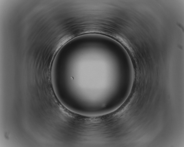 X0000091901145200709051358