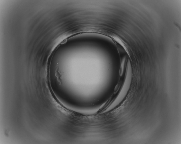 X0000091901147200709051358