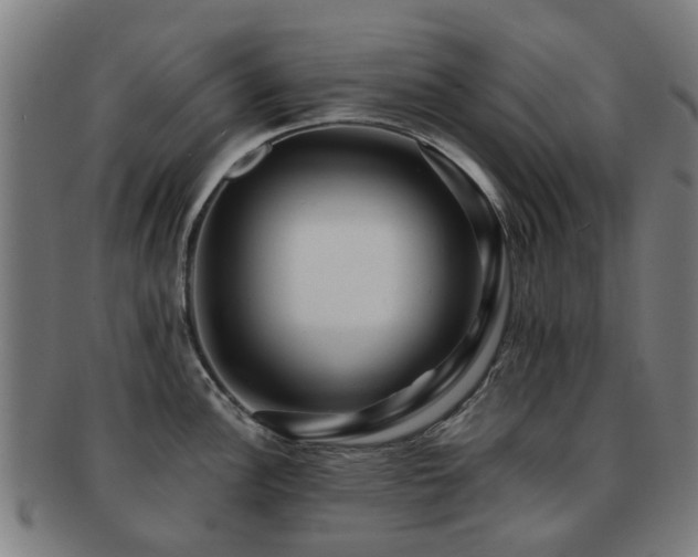 X0000091901148200709051358