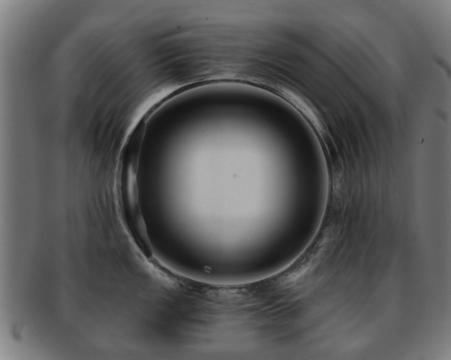 X0000091901149200709051358
