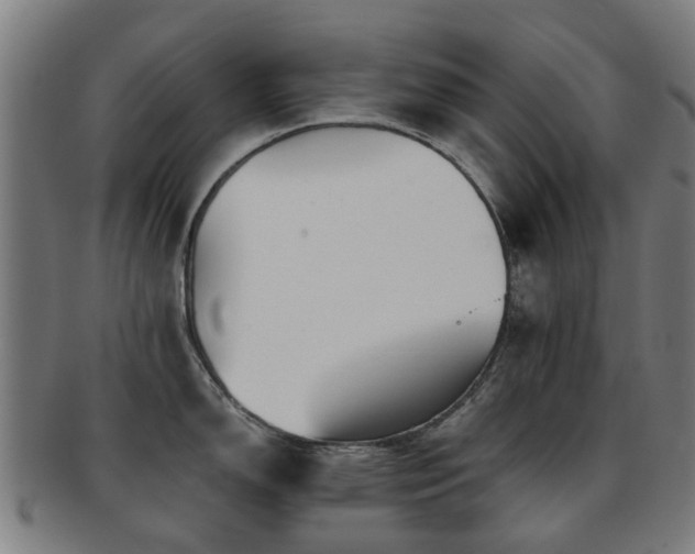 X0000091901150200709051358