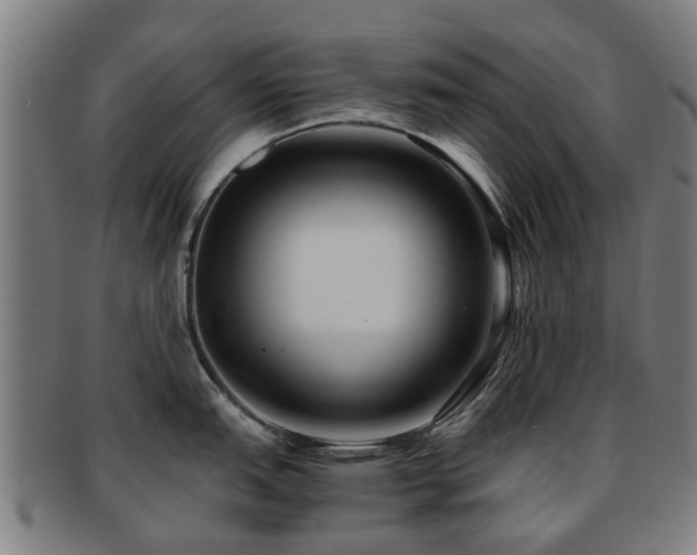 X0000091901151200709051358