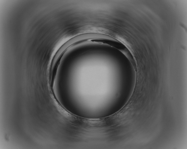 X0000091901152200709051358