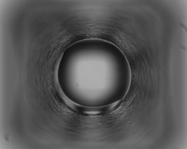 X0000091901153200709051357