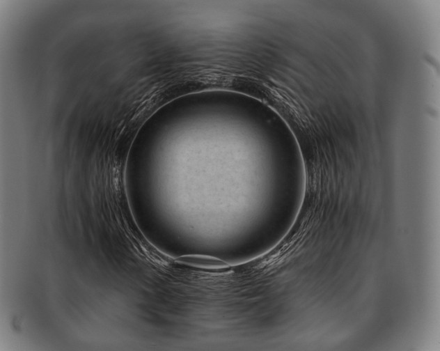 X0000091901154200709051357
