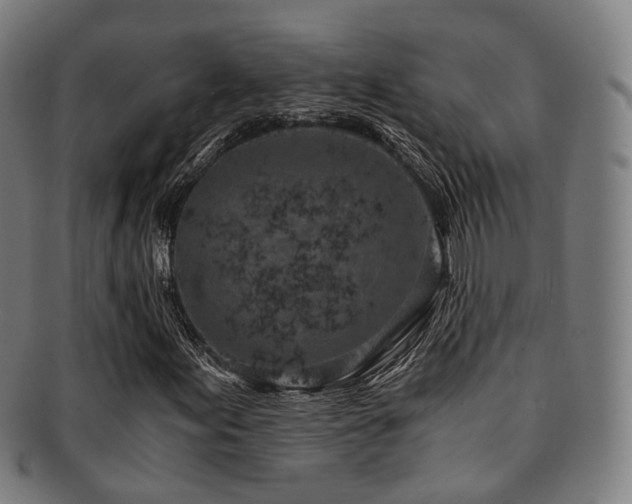 X0000091901155200709051357
