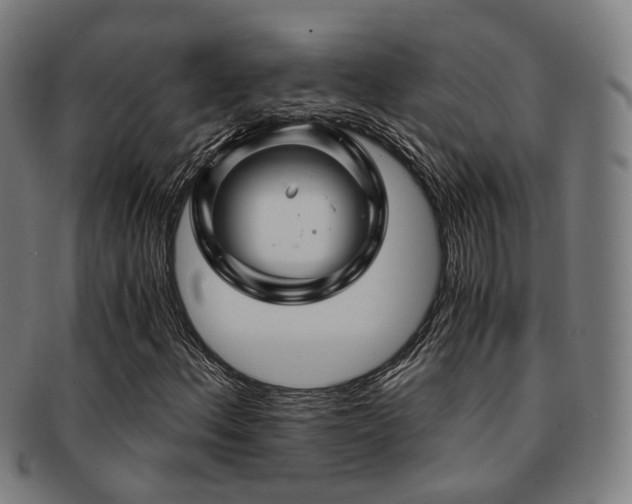 X0000091901156200709051357