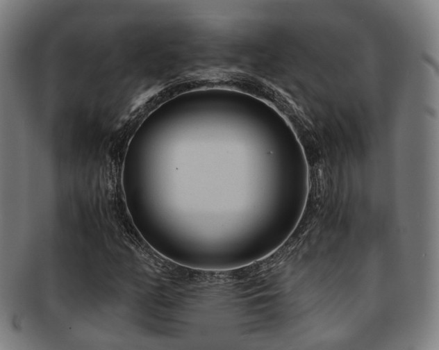 X0000091901158200709051357