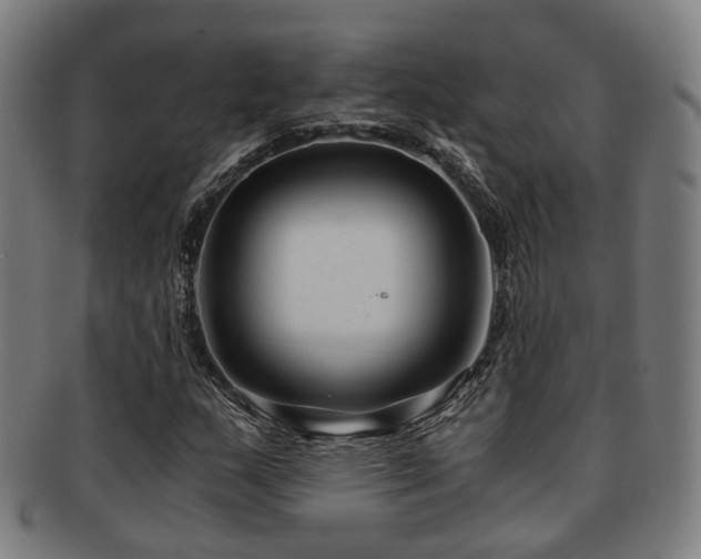X0000091901159200709051357
