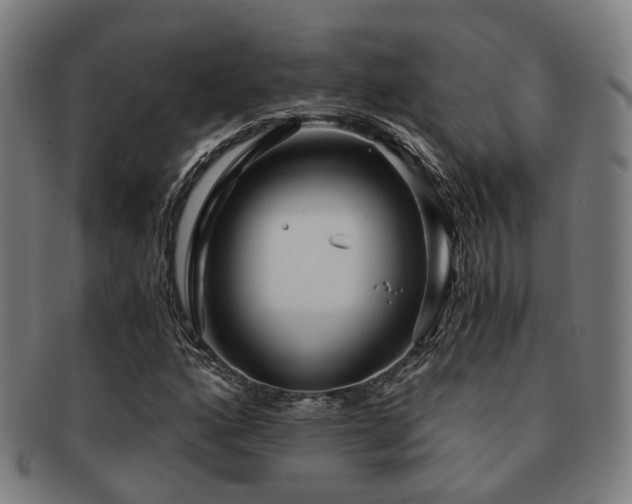 X0000091901160200709051357