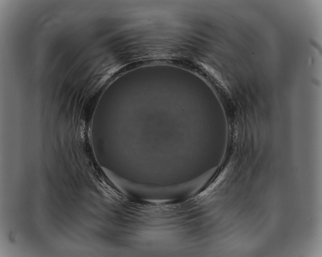 X0000091901161200709051357
