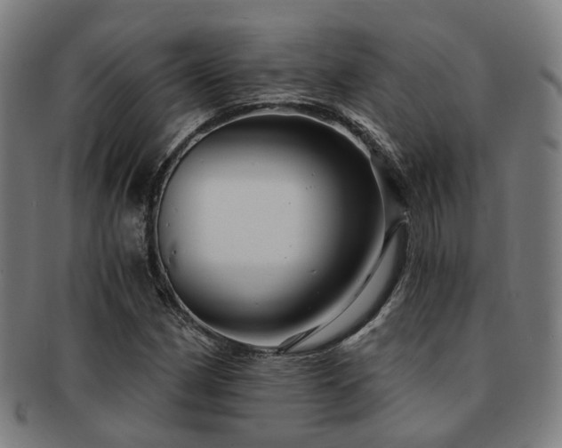 X0000091901162200709051357