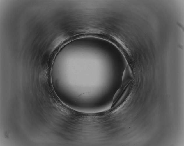 X0000091901163200709051357