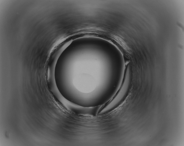 X0000091901164200709051357